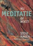 meditatie nu of nooit steve hagen